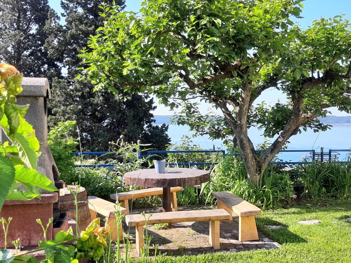 Apartments And Rooms Knez Portorož Dış mekan fotoğraf